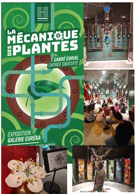 mecanique_plante.jpg