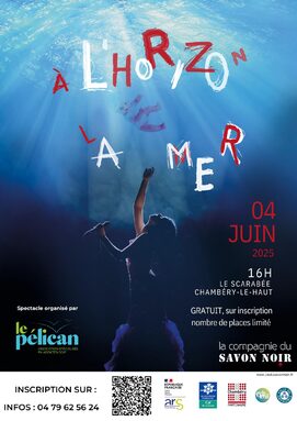 AFFICHE -A l'horizon la mer-pelican-jpg.jpg